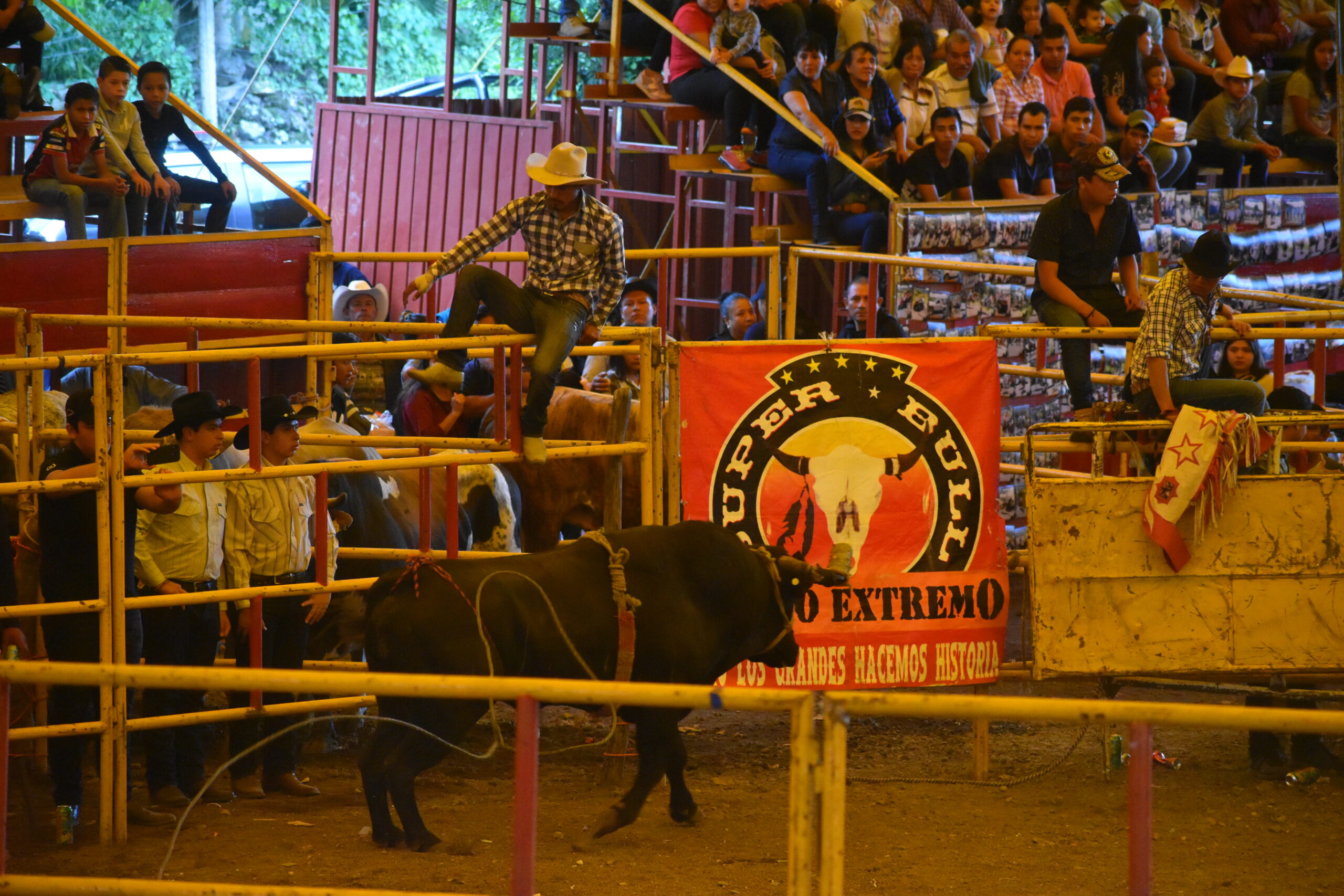 Rodeo con la Banda «LA SANTÍSIMA» Rodeo con la Banda «LA SANTÍSIMA»